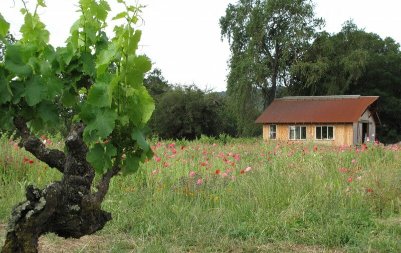 Bucklin Ranch