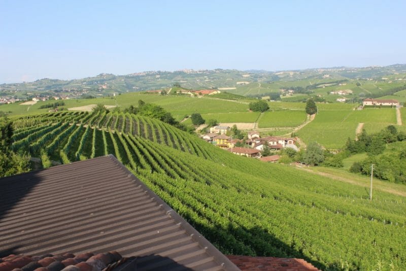 The slope of the Arborina cru from the Altare cantina