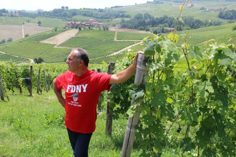 Renato Corino in the Arborina vineyard 2016