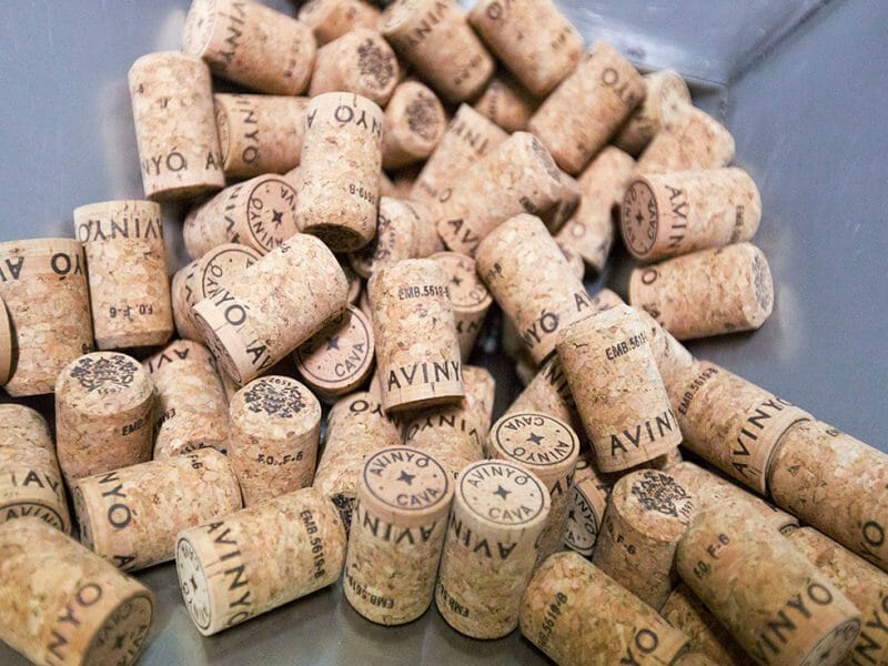 Corks
<br>Photo by Zoe Dehmer