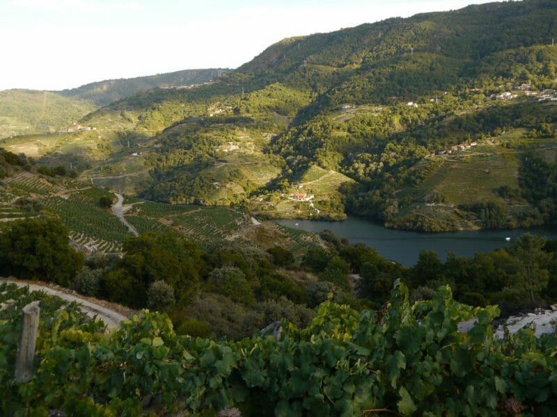 Ribeira Sacra
<br>Photo by Steven Alexander