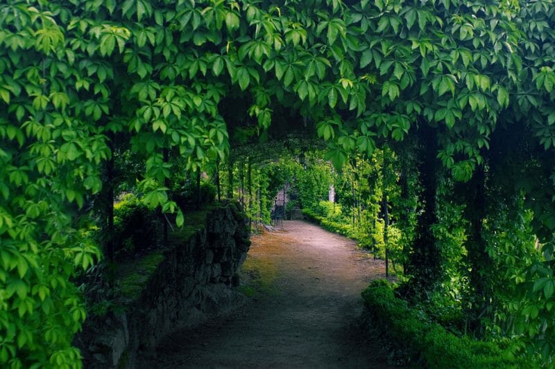 A walkway to the bodega
<br>Photo by Pepe Franco