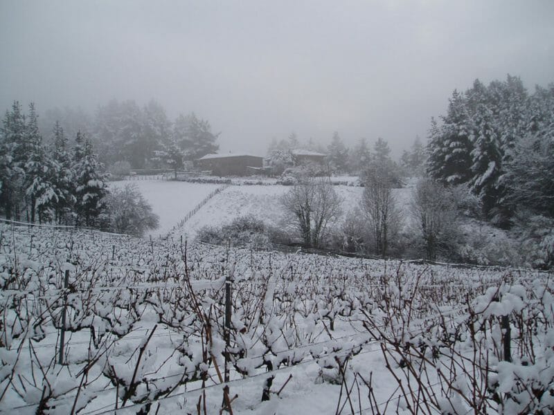 The bodega in winter